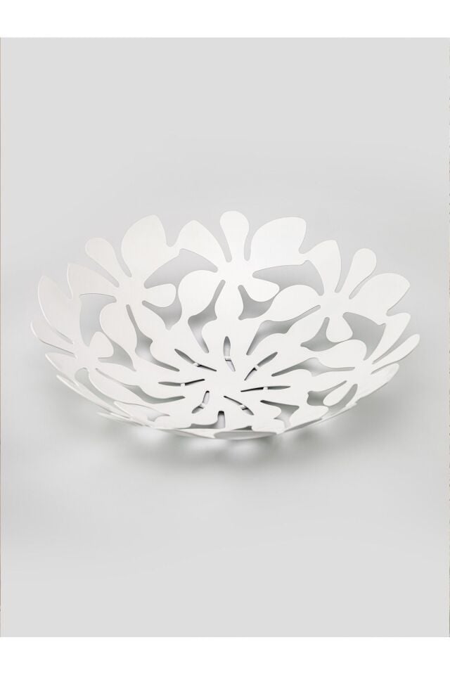 Daisy Dekoratif Tabak, Meyvelik 33 cm