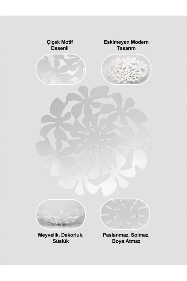 Daisy Dekoratif Tabak, Meyvelik 33 cm