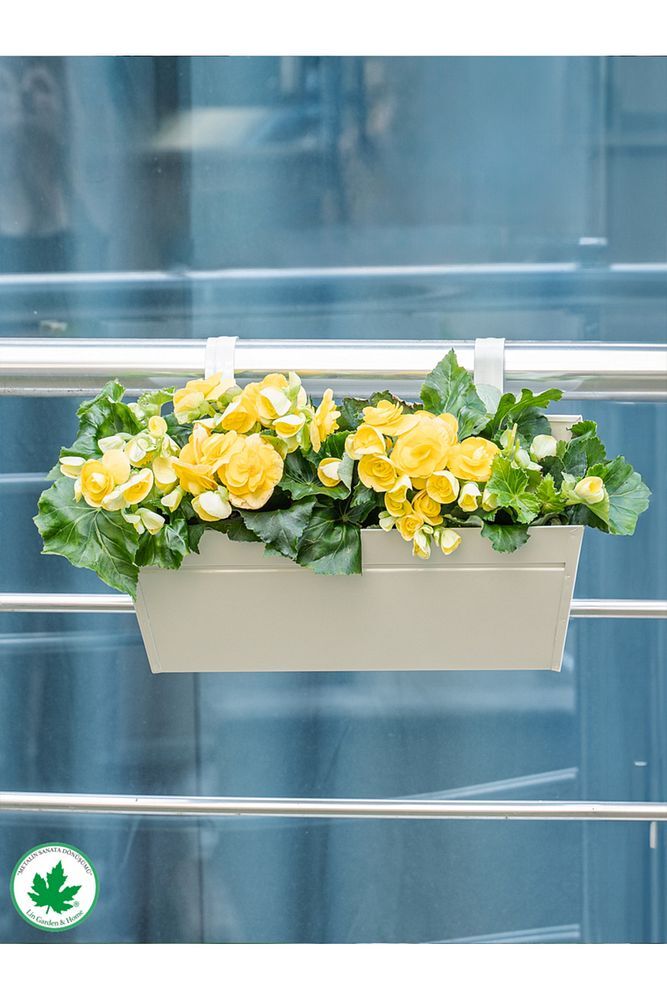 Peoni Askılı Balkon Saksılık, Köşeli Balkon Saksı, Saksılık