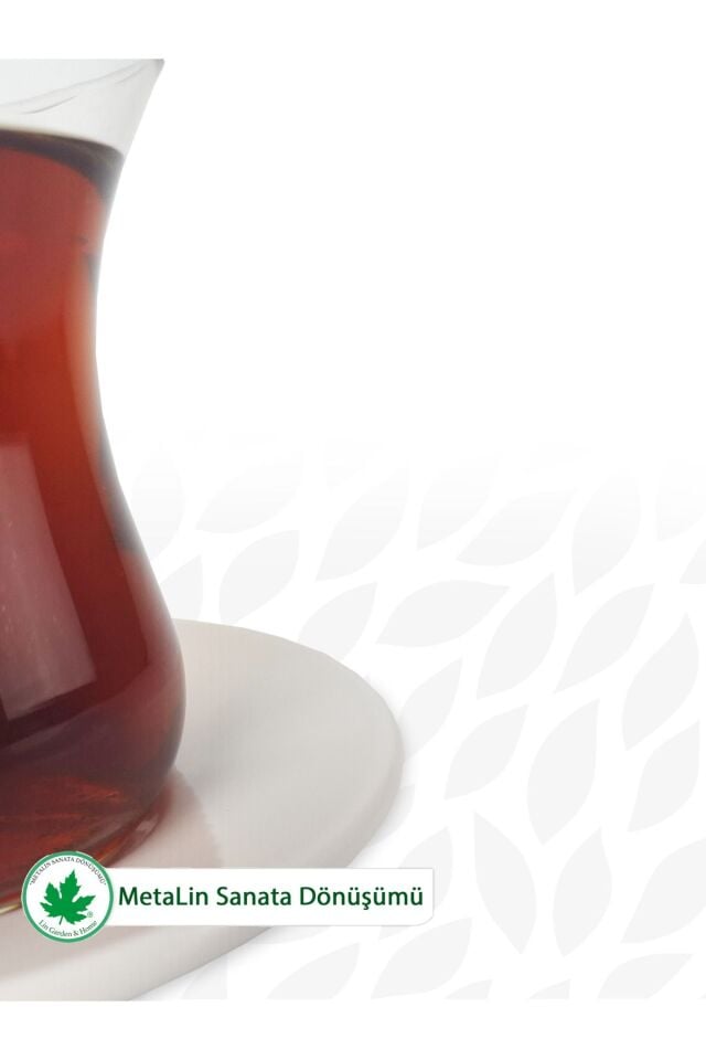 12'li Metal Çay Tabağı