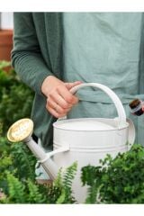 Fritilya 5 Litre Metal Sulama Kabı, Galvaniz Bitki Sulama Kabı Metal Orta Boy Sulak Krem