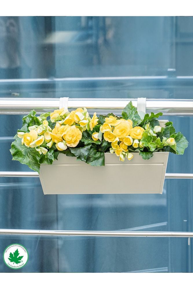 Peoni Askılı Balkon Saksılık, Köşeli Balkon Saksı, Saksılık Krem - Tek Ebat