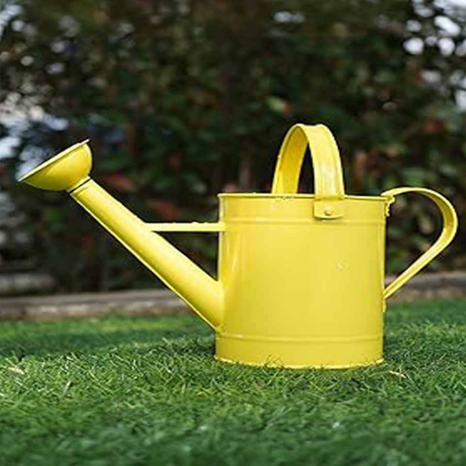 Fritilya 5 Litre Metal Sulama Kabı, Galvaniz Bitki Sulama Kabı Metal Orta Boy Sulak Sarı