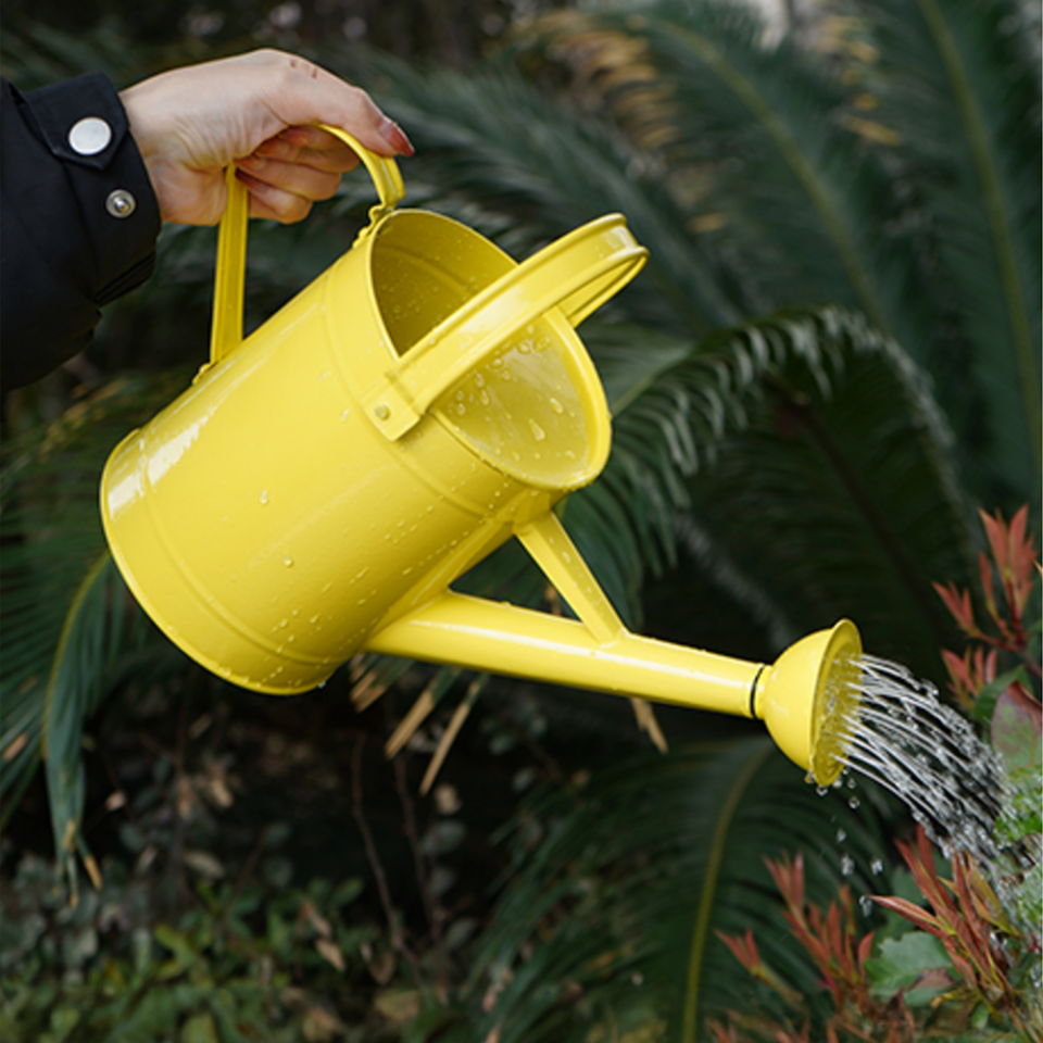 Fritilya 5 Litre Metal Sulama Kabı, Galvaniz Bitki Sulama Kabı Metal Orta Boy Sulak Sarı